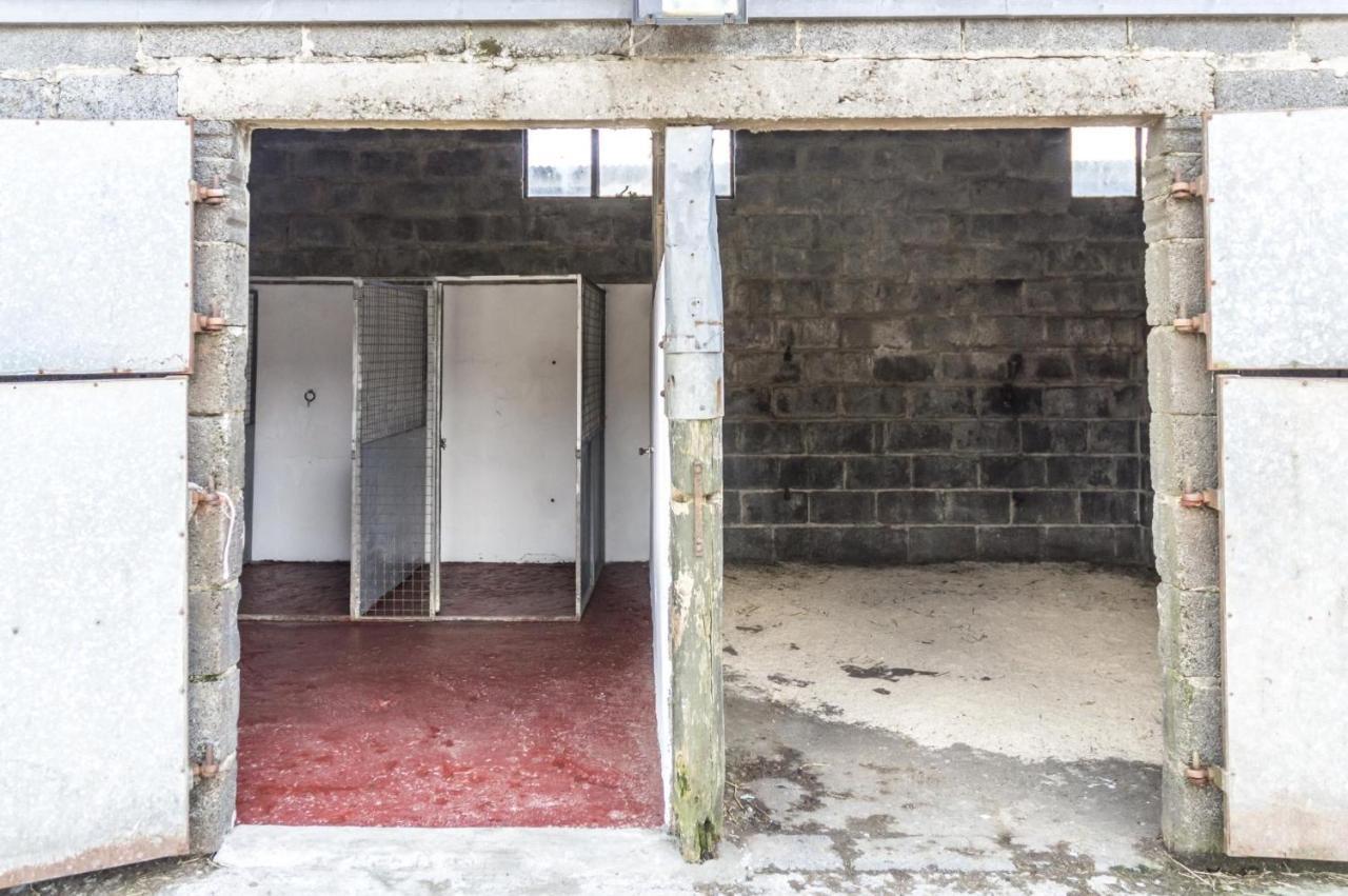 Ashgrove Farm - 1 Bedroom - Llawhaden - Apartment